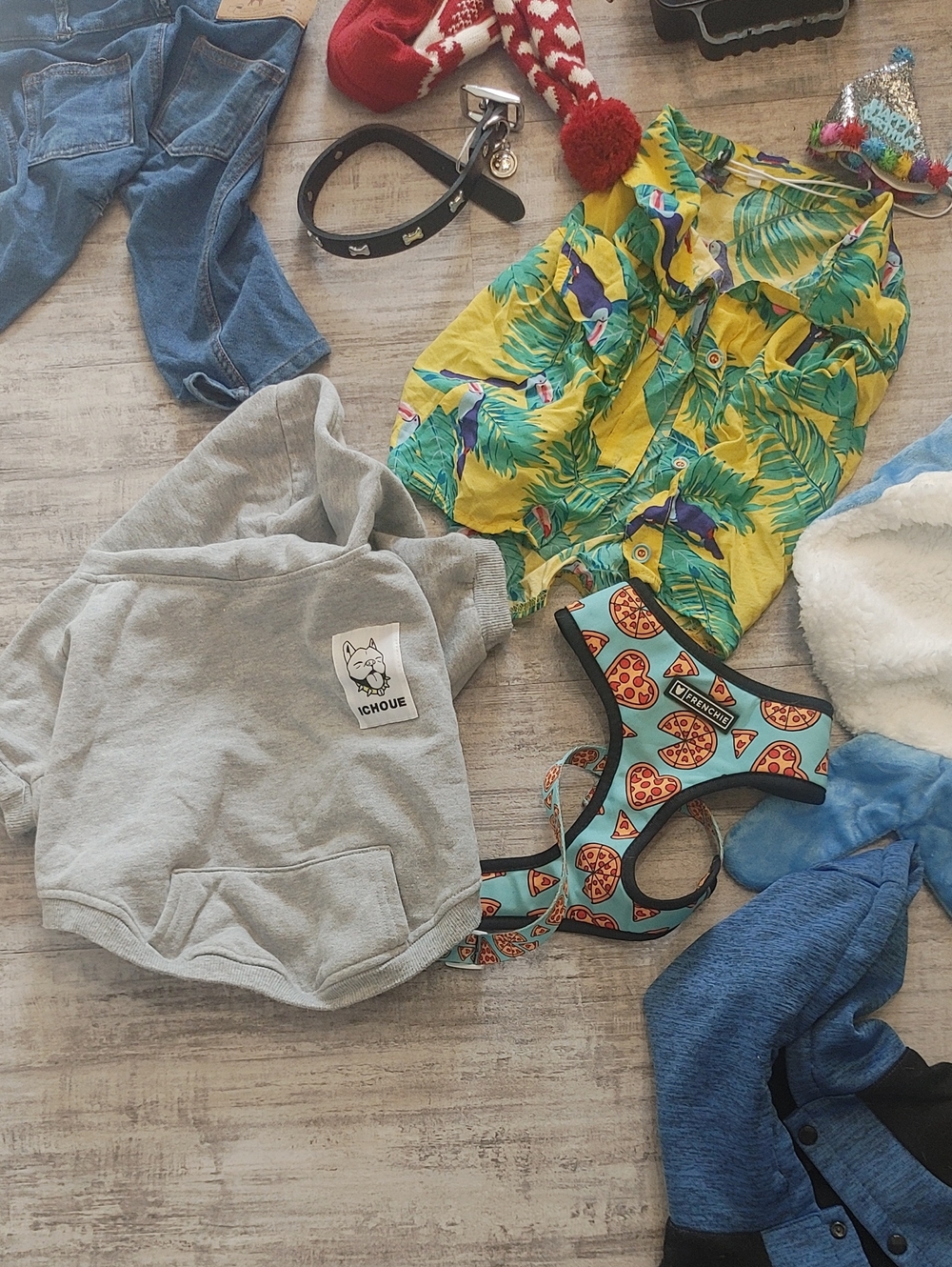HUGE FRENCHIE LOT L/XL French Bulldog Clothes & Accessories - Picture 6 of 10